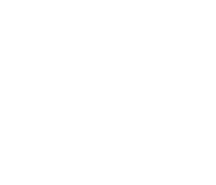 Partner Vorm2